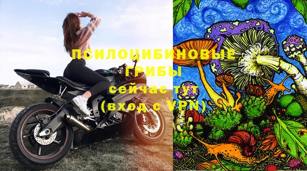 Альфа ПВП Россошь