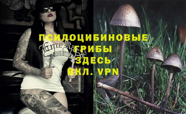 Альфа ПВП Россошь