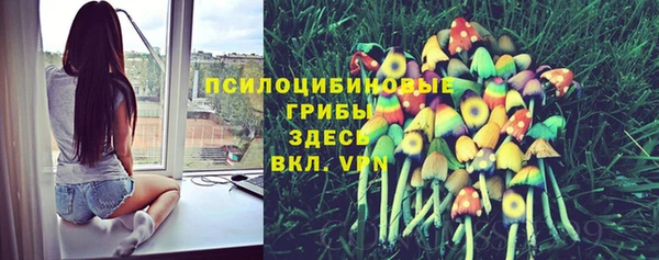 экстази Рославль