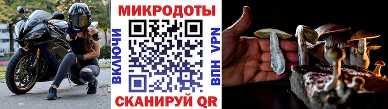 Псилоцибиновые грибы Psilocybe  мега сайт  Струнино 